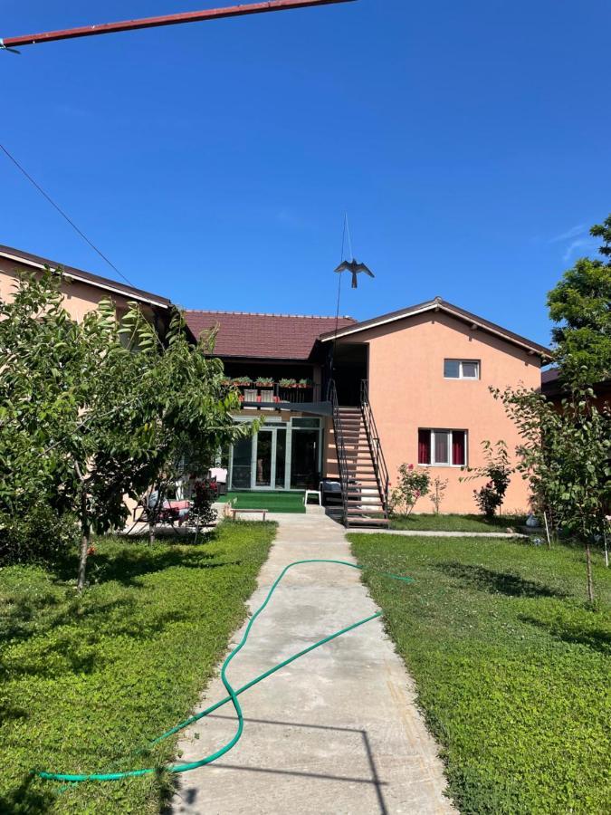 Vila Baciu Hotel Tuzla Exterior photo
